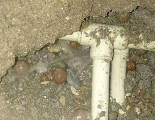 城区卫生间测漏