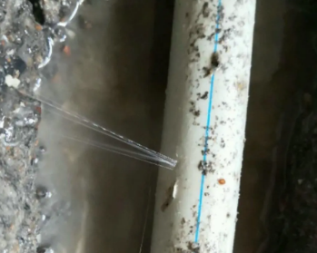 城区卫生间测漏水多少钱
